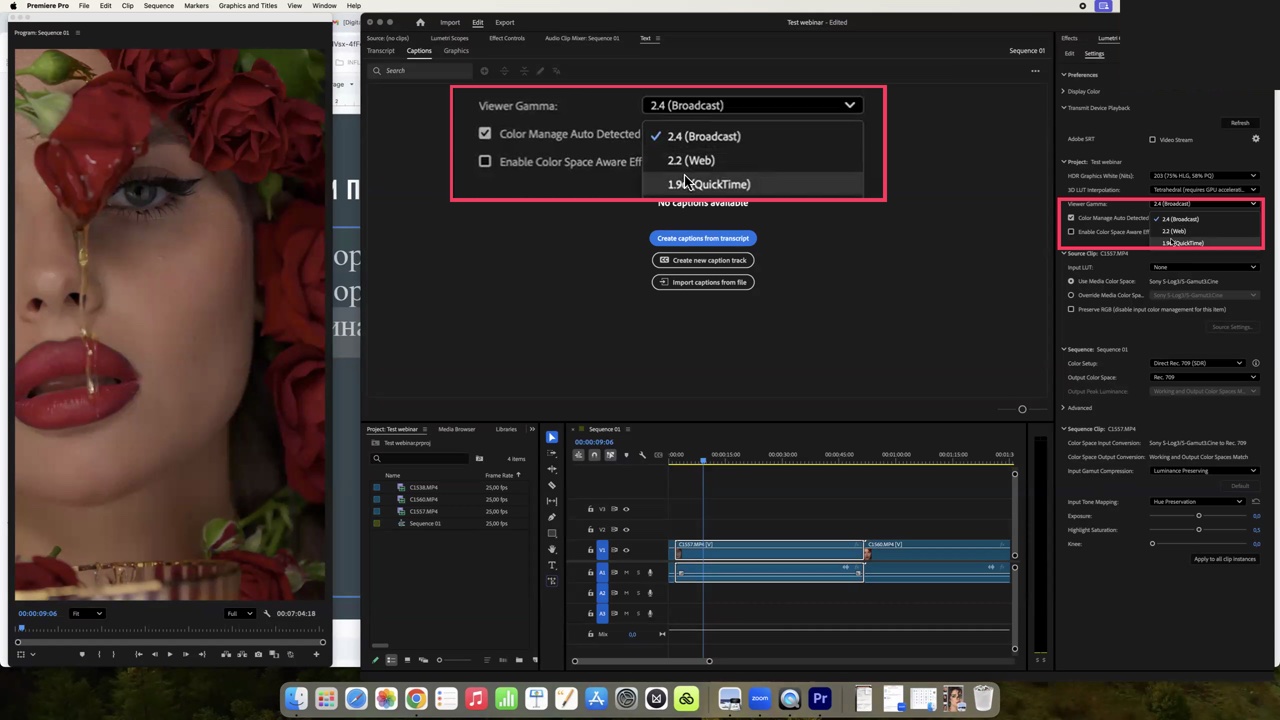 Список Viewer Gamma: Broadcast, Web, QuickTime